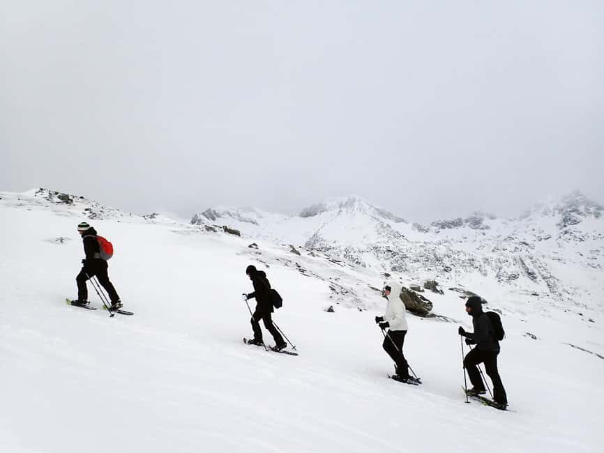 Tromsø: Guided snowshoe hill hike - Key points to know before you go