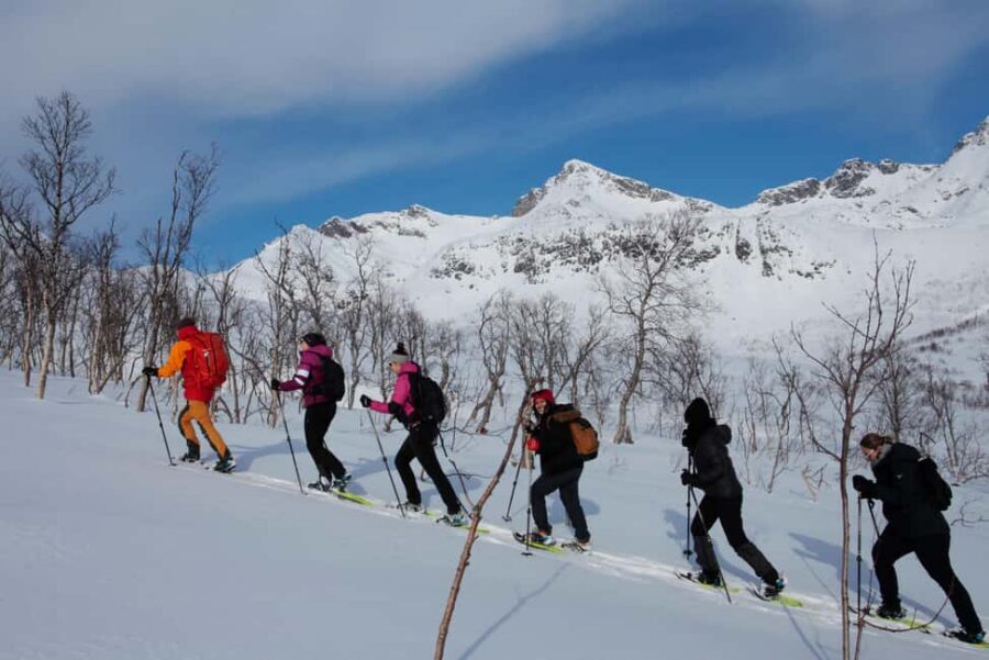 Tromsø: Guided snowshoe hill hike - Price and value: why $149 can be a smart deal in winter Norway
