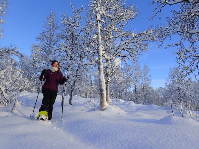 Tromsø: Guided snowshoe trip with a campfire - A 3-hour Tromsø winter playdate with gear included