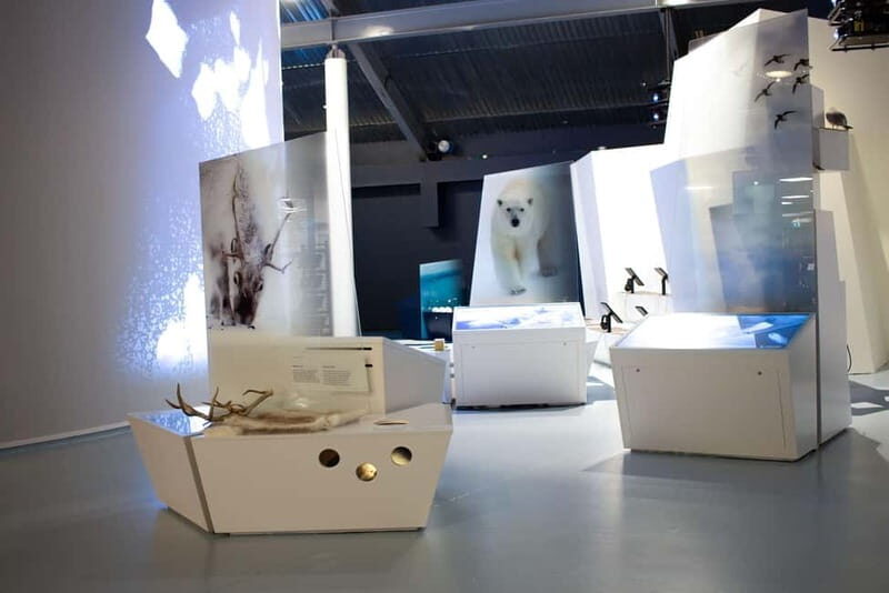 Tromsø: Guided Tour of Polaria - Key takeaways for your Polaria visit