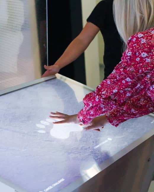 Tromsø: Guided Tour of Polaria - Arctic Aquarium: rare species close up, not far away