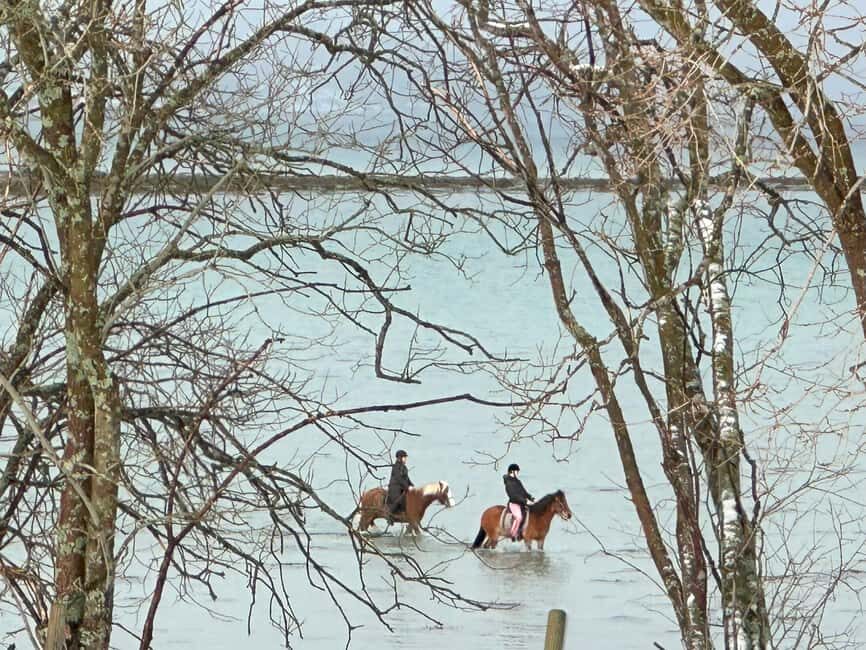 Tromsø: Horseback Riding Tour - Key things to know before you go