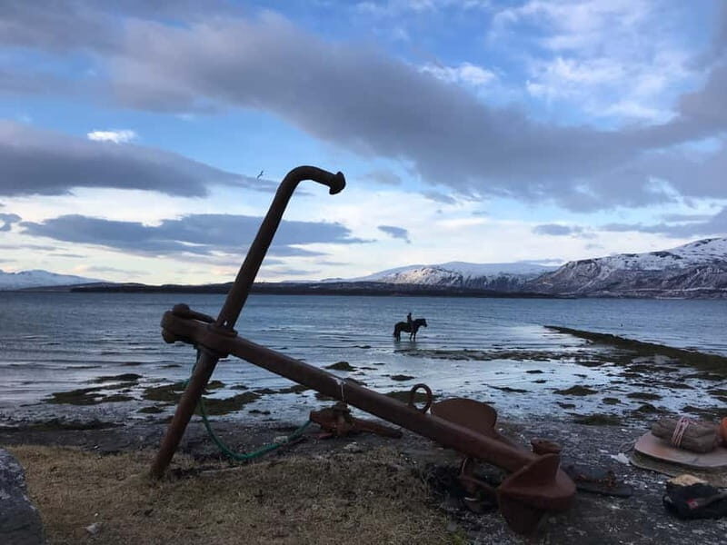Tromsø: Horseback Riding Tour - Safety briefing and helmets: the part that makes riding easier