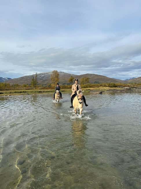 Tromsø: Horseback Riding Tour - Meet the Norwegian breeds: why this tour feels more than riding