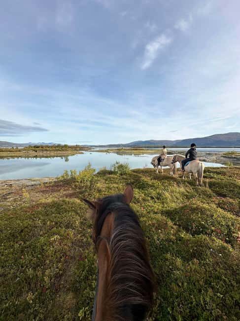 Tromsø: Horseback Riding Tour - Straumsvegen to Mari Sletta Farm: how the tour sets you up