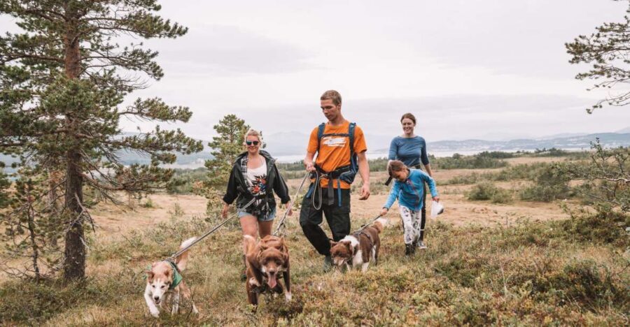 Tromsø: Husky Hike and Puppy Visit with Traditional Lunch - Key moments that make this tour worth your time