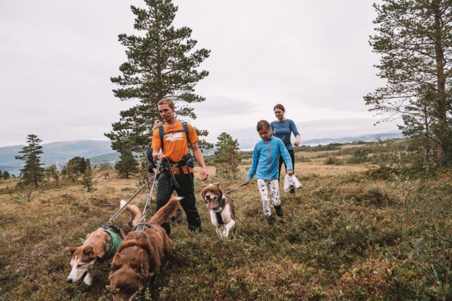 Tromsø: Husky Hike and Puppy Visit with Traditional Lunch - From Tromsø to the Husky Center: the smooth start that sets the tone