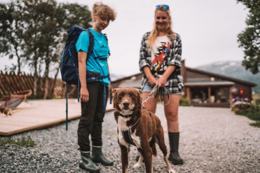 Tromsø: Husky Hike and Puppy Visit with Traditional Lunch - North Norway wildlife chance: small sightings can make a big day