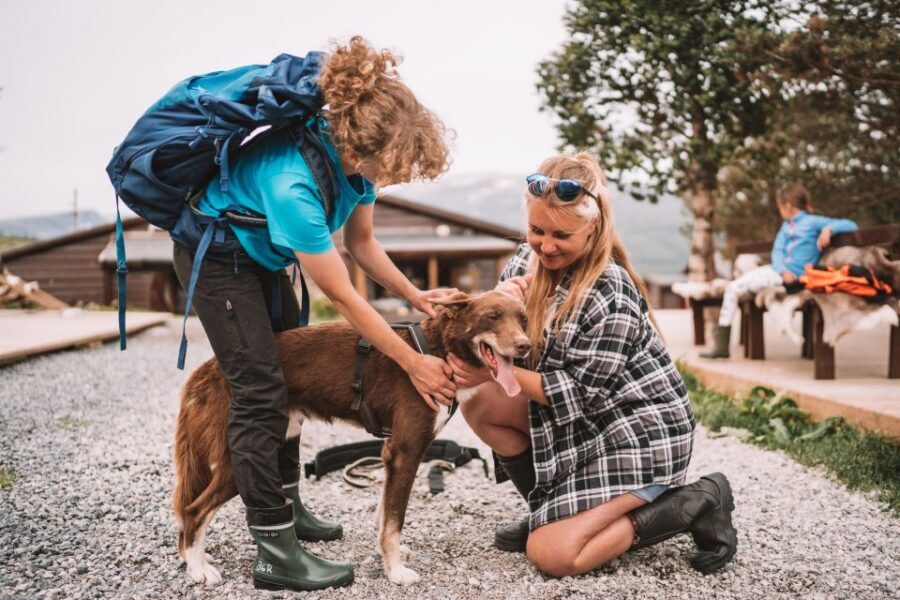 Tromsø: Husky Hike and Puppy Visit with Traditional Lunch - Lunch in a Sami Lavvo: warm food, Norwegian-style coffee, and calm after the pull