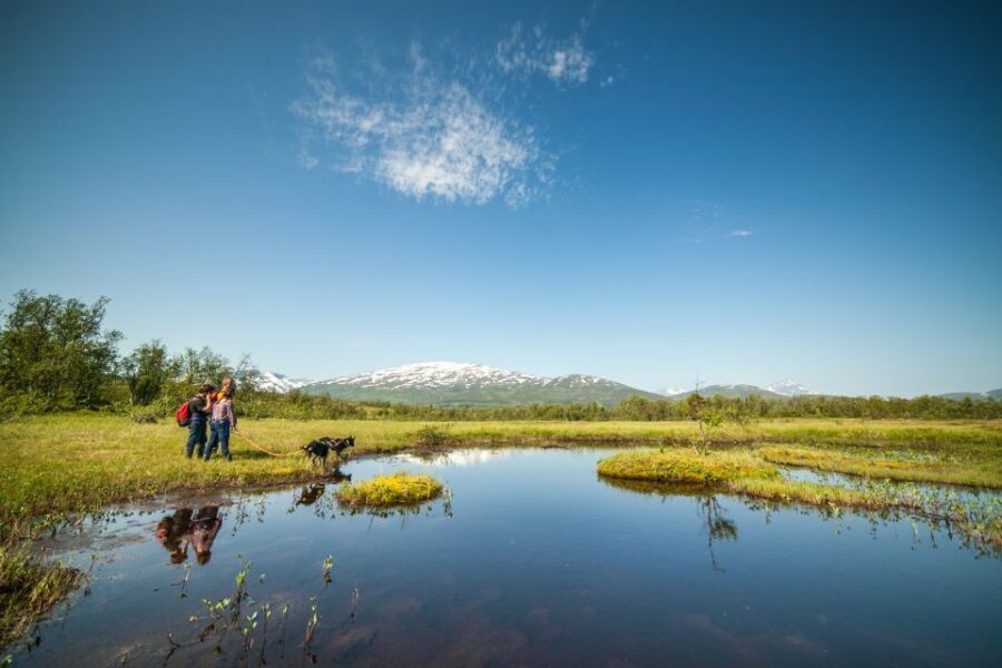 Tromsø: Husky Hike and Puppy Visit with Traditional Lunch - Who should book this husky hike and puppy visit