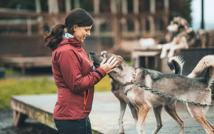 Tromsø: Husky Meet and Greet with Homemade Chocolate Cake - What to bring (and what to remember) before the cold gets serious
