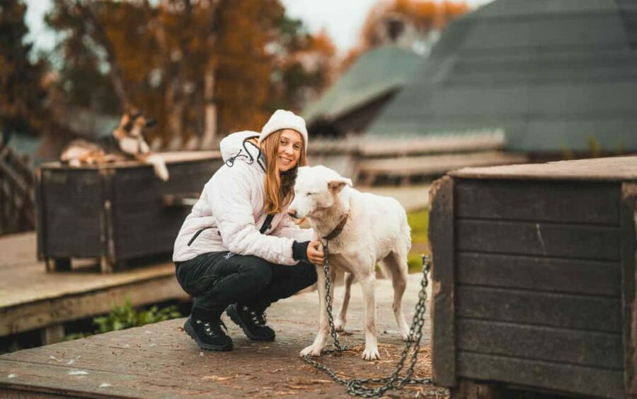 Tromsø: Husky Meet and Greet with Homemade Chocolate Cake - Cuddle, play, and photos: making the most of limited open time