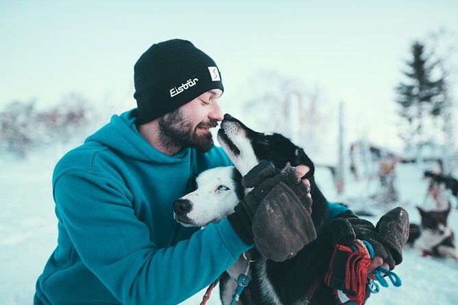 Tromso Husky Self-Drive Sledding with Cake and Drink in Lavvu - 70–80 Minutes on the Arctic Trail: Pace, Hills, and Switching Drivers