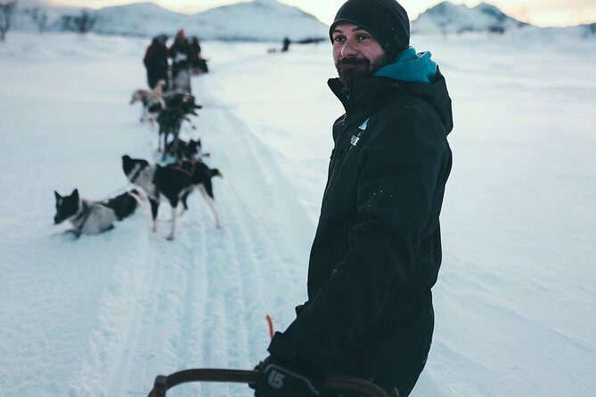 Tromso Husky Self-Drive Sledding with Cake and Drink in Lavvu - Pickup Location, Timing, and How Daylight Affects the Ride