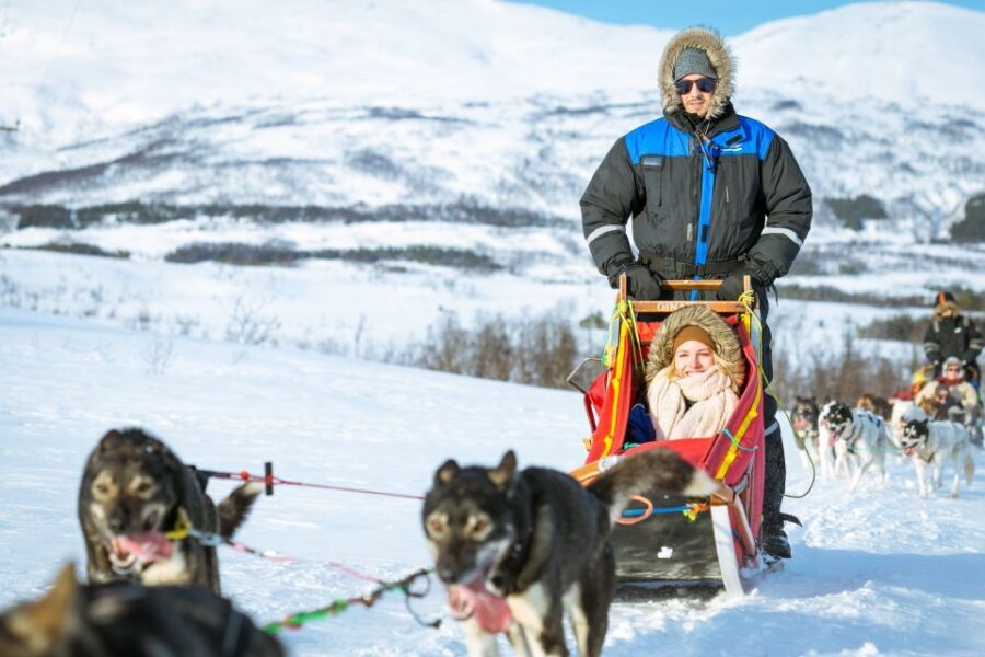 Tromsø: Husky Sled Self-Drive with Traditional Lunch - Lunch by the fire: bidos, cake, and a winter reset