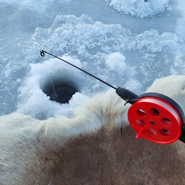 Tromsø: Ice Fishing and Snowshoe Hiking with a Local Guide - The Frozen Lake Stop: Ice Fishing That’s Actually Hands-On
