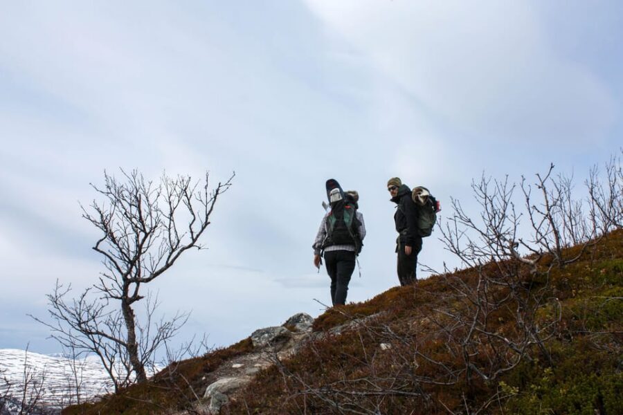 Tromsø: Ice Fishing and Snowshoe Hiking with a Local Guide - Wildlife Moments: The Bonus You Can’t Force but Can Notice