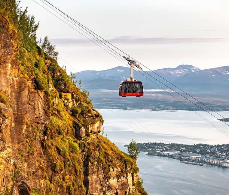 Tromsø: Island Tour with Cable Car Ride (Private or Shared) - Arctic University Museum: Saami, Vikings, and Northern Lights in One Stop