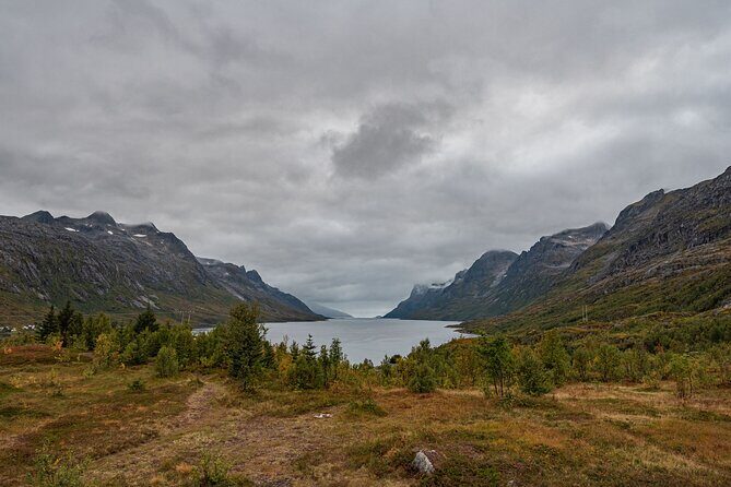 Tromsø: Kvaløya & Sommarøy Guided Fjord Tour with Lunch - Van comfort and the cold reality check