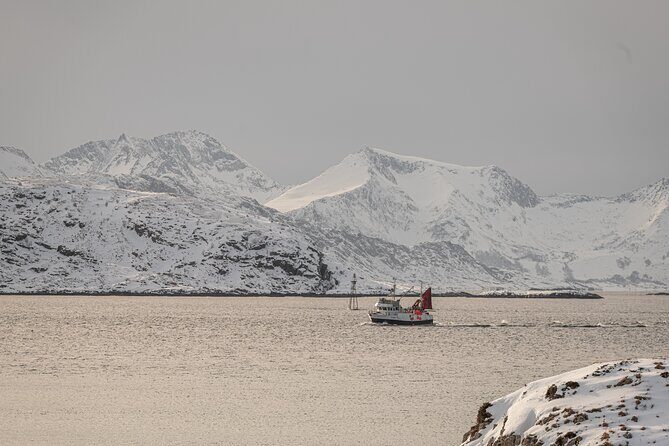 Tromsø: Kvaløya & Sommarøy Guided Fjord Tour with Lunch - Guides like Lorenzo, Vera, Gaia, and Andrea make the difference