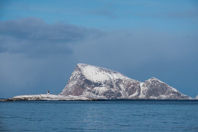 Tromsø: Kvaløya & Sommarøy Guided Fjord Tour with Lunch - Price and logistics: what $181.50 buys you