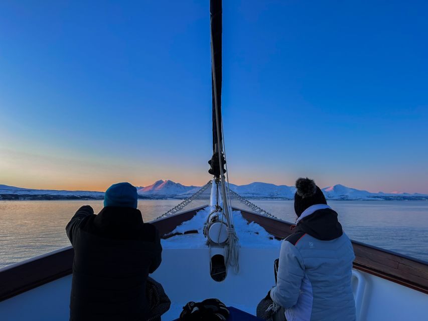 Tromsø: Luxury Polar Fjord Cruise w/ Hot Tub & Polar Plunge - Quick hits you should know