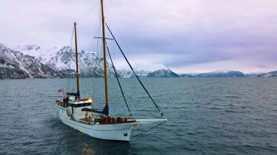 Tromsø: Luxury Polar Fjord Cruise w/ Hot Tub & Polar Plunge - Stella Oceana: the luxury sailing feel in Tromsø fjords