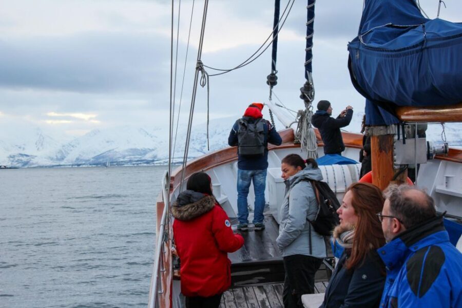 Tromsø: Luxury Polar Fjord Cruise w/ Hot Tub & Polar Plunge - Lunch aboard: reindeer soup, coffee bar, and a warm reset