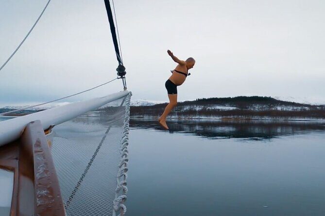 Tromso Luxury Sailing Yacht Polar Fjord Cruise with Lunch - Lunch onboard: reindeer soup that actually tastes like a highlight