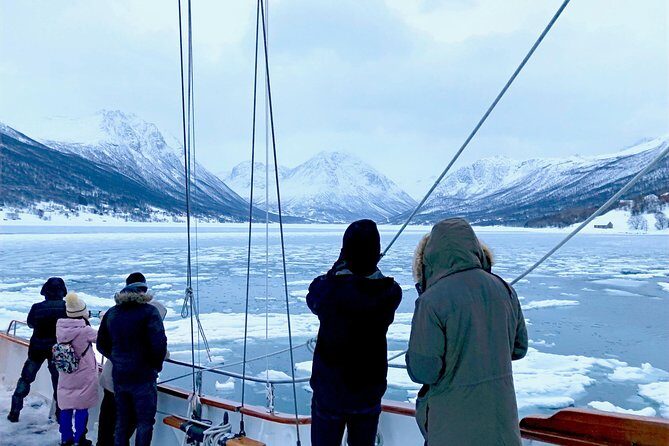 Tromso Luxury Sailing Yacht Polar Fjord Cruise with Lunch - Wildlife spotting: how to use the cruise to see seals and more