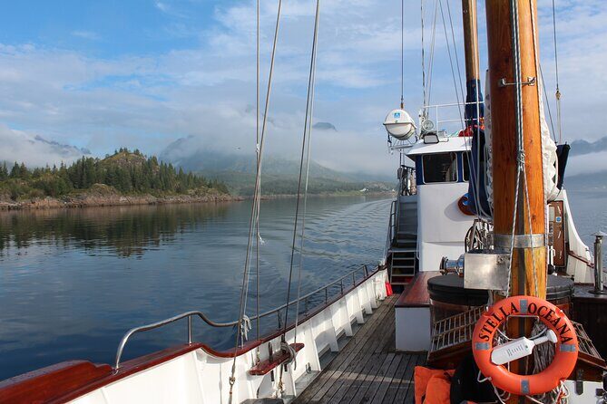 Tromsø Luxury Summer Fjord Cruise with Lunch - Lunch on the Water: Fish Soup, Toasted Bread, and Comfort Drinks