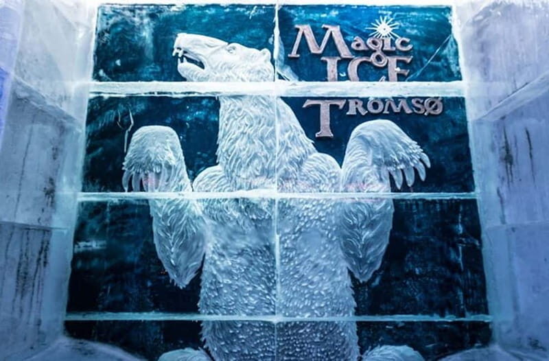 Tromsø: Magic Ice Bar Entrance and Welcome Drink - Dressing for the Arctic inside: poncho, gloves, and what to wear
