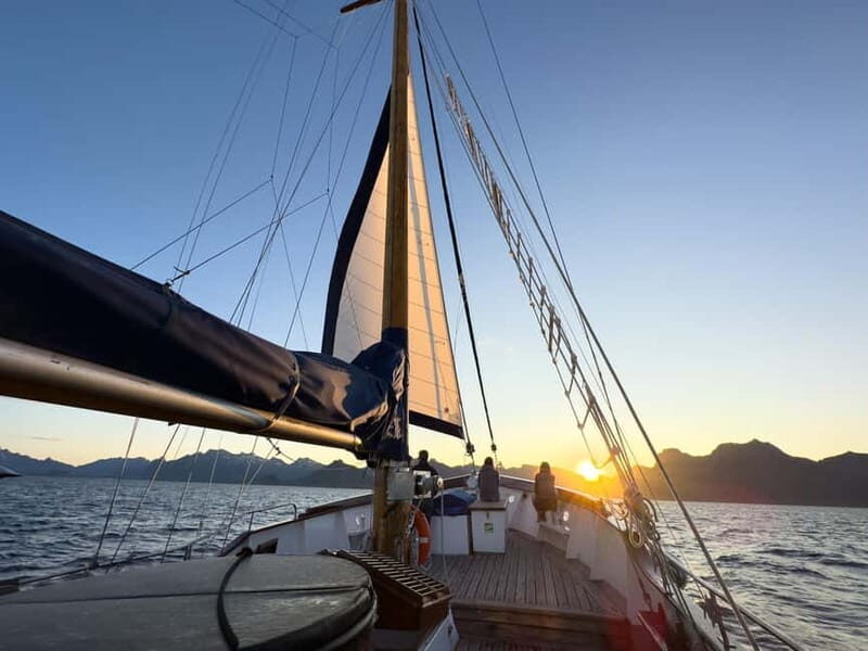 Tromsø: Midnight Sun Evening Cruise with Hot Tub - Toward Gåsvær: the midnight sun moment and wildlife chances