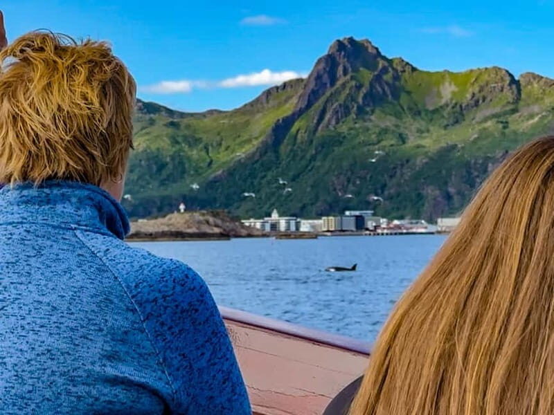 Tromsø: Midnight Sun Evening Cruise with Hot Tub - Fish soup, coffee bar, and the calm onboard rhythm