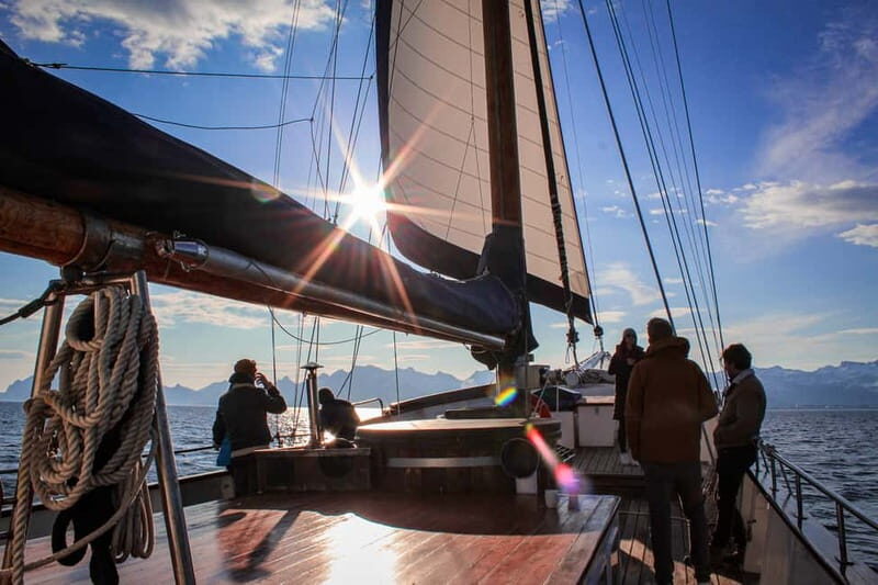 Tromsø: Midnight Sun Evening Cruise with Hot Tub - Service tone and group vibe: friendly crew, with one caution