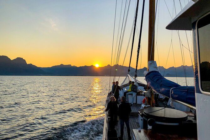 Tromsø Midnight Sun Evening Cruise with Hot Tub and Polar Plunge - Key Highlights You’ll Care About
