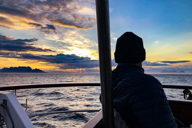 Tromsø Midnight Sun Evening Cruise with Hot Tub and Polar Plunge - Complimentary Drinks and Snacks: The Little Stuff That Saves Your Energy