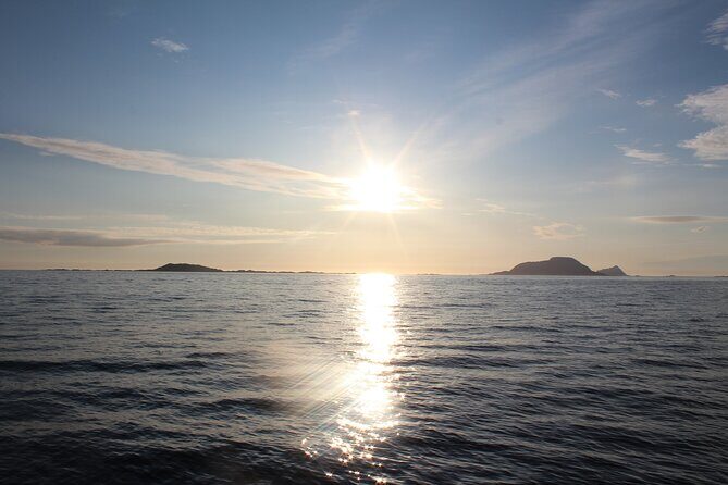Tromsø Midnight Sun Evening Cruise with Hot Tub and Polar Plunge - Price and Value: Is $316.51 Worth It in Tromsø?