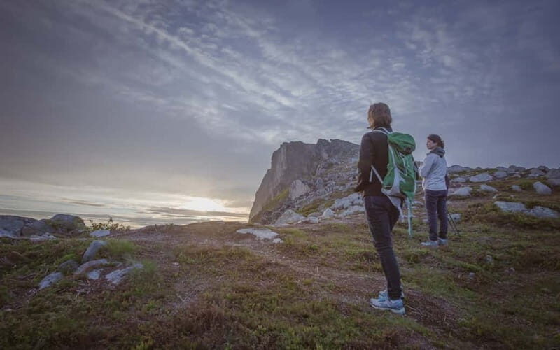 Tromsø: Midnight Sun Hike in the wilderness - Key Points You’ll Care About