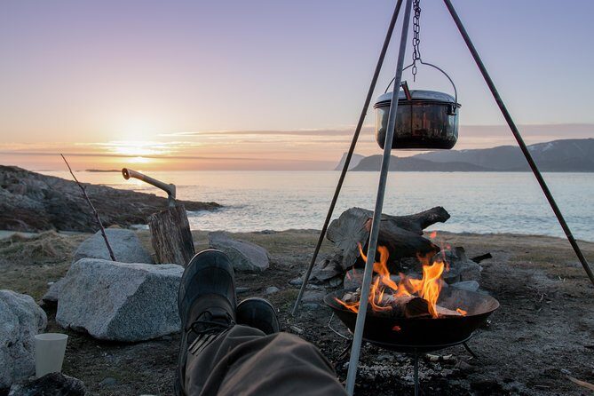 Tromsø: Midnight Sun with Campfire with Wandering Owl - Key Highlights You’ll Actually Care About