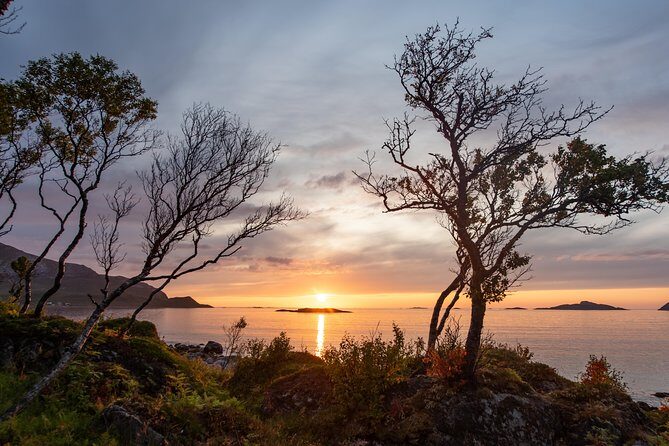 Tromsø: Midnight Sun with Campfire with Wandering Owl - Grotfjord Area Beach Camp: Where the Midnight Sun Actually Happens