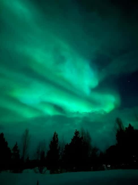 Tromsø: Northern Lights and a Starlit Adventure Tour - Why Vikran’s Arctic night beats city aurora hunting