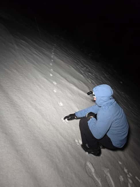 Tromsø: Northern Lights and a Starlit Adventure Tour - The 30-minute snow hike: easy pace, real Arctic feel