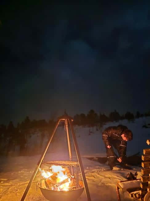 Tromsø: Northern Lights and a Starlit Adventure Tour - Timing, cold comfort, and how long you’ll actually be outside