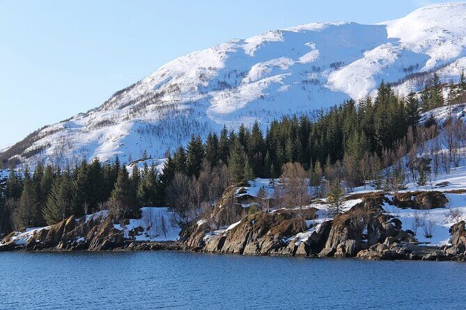 Tromsø, Northern Lights and Wilderness Evening Catamaran Cruise - Why This 9pm Catamaran Cruise Works in Tromsø