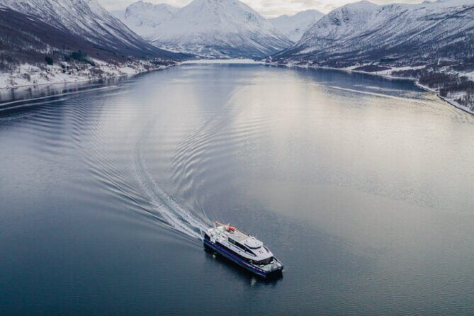 Tromsø, Northern Lights and Wilderness Evening Catamaran Cruise - The Northern Lights Guarantee: How to Think About It