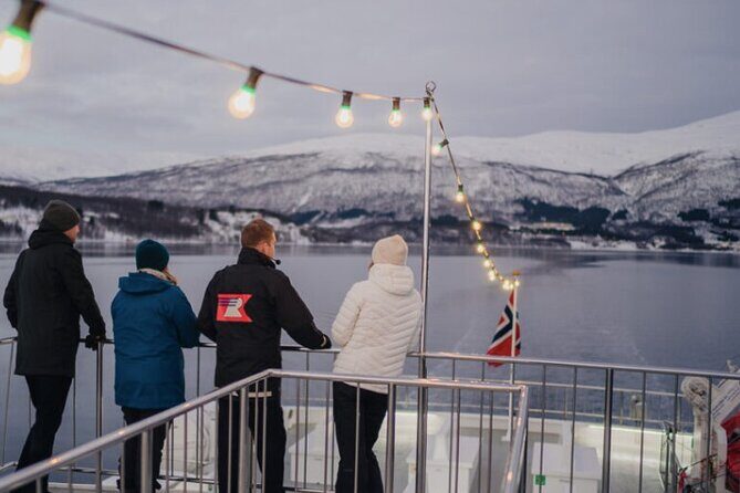 Tromsø, Northern Lights and Wilderness Evening Catamaran Cruise - What You’ll Get From the Guide (Yes, It Matters)