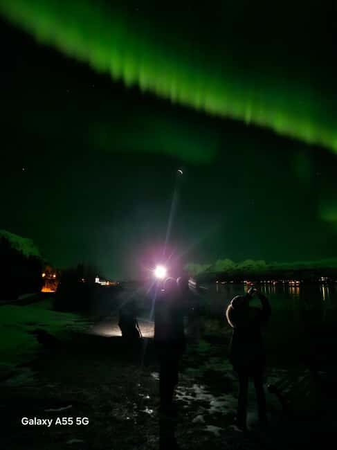 Tromsø: Northern Lights Bus Tour – Chase the Aurora Borealis - What the guide actually does for you (beyond pointing at the sky)