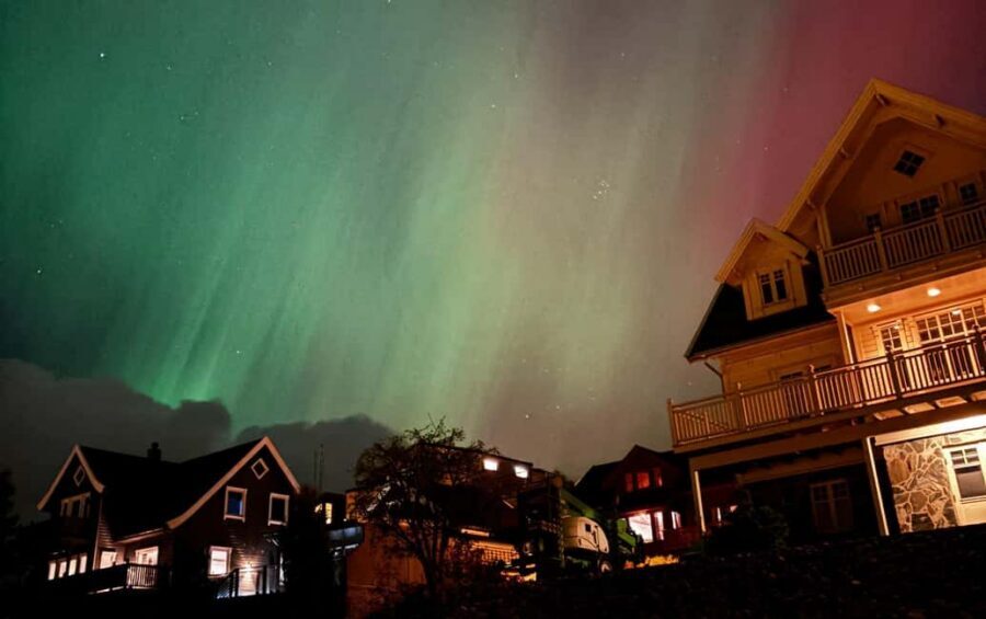 Tromsø: Northern Lights Bus Tour – Chase the Aurora Borealis - Price and value: is $135 reasonable for one night?