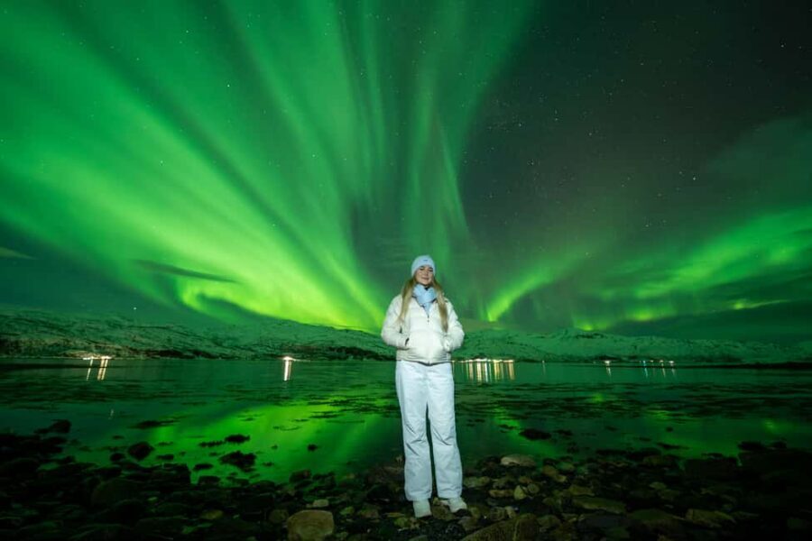 Tromsø: Northern Lights Chase, Local Guide, Foods & Pictures - Why the van-and-guide style works better than big buses